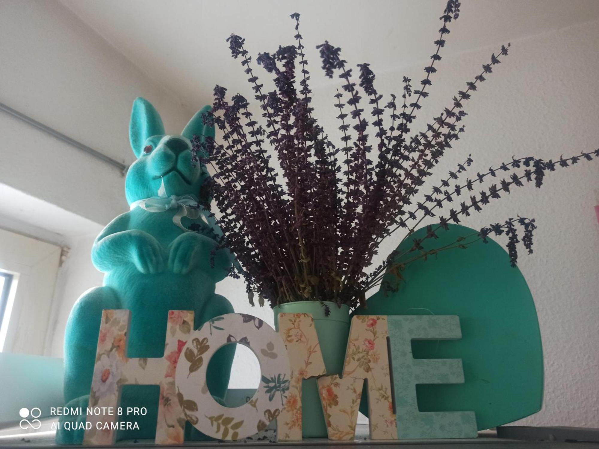 Cosyhome